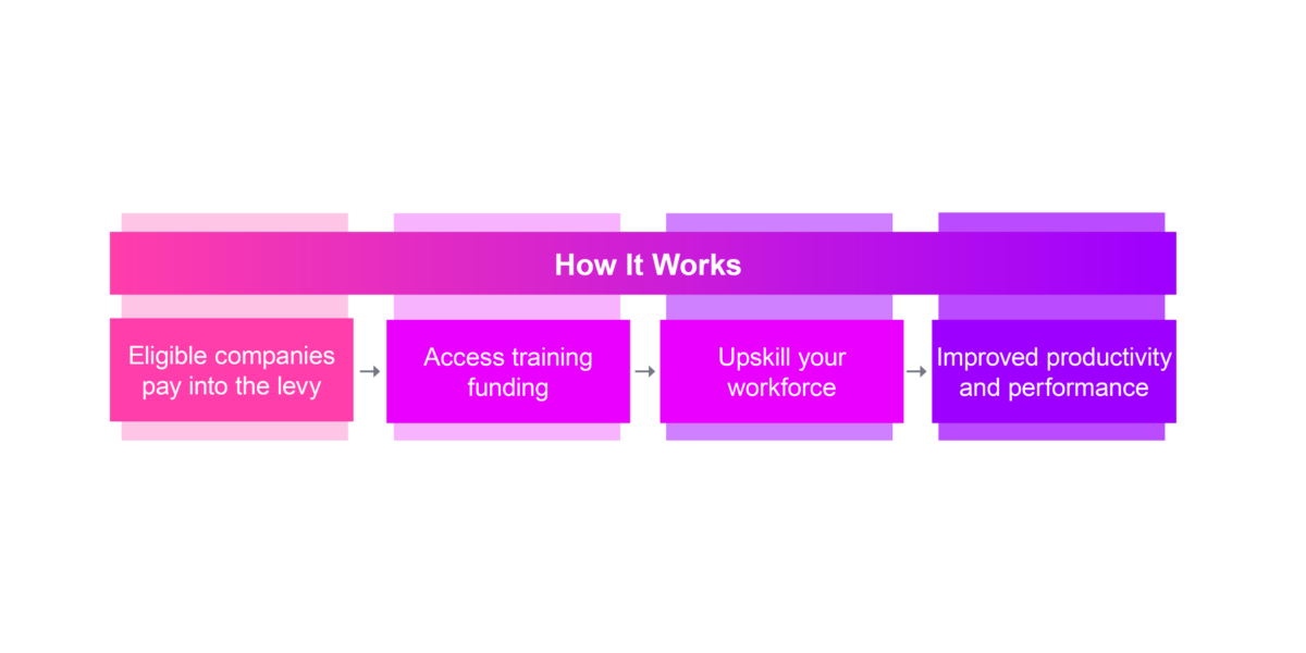 Levy Framework Website smol